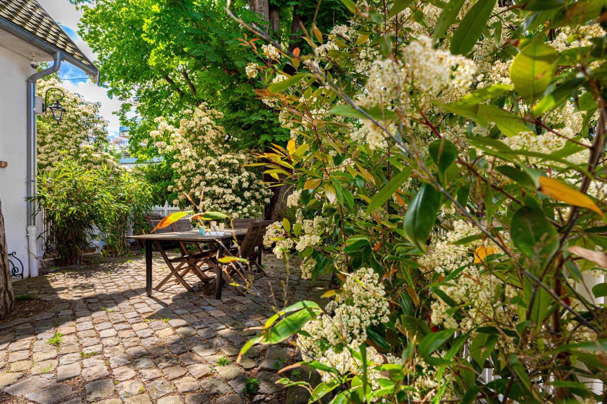 Grand & Classy Apartment With Private Garden, Villa Des Ammonites Meudon Zewnętrze zdjęcie